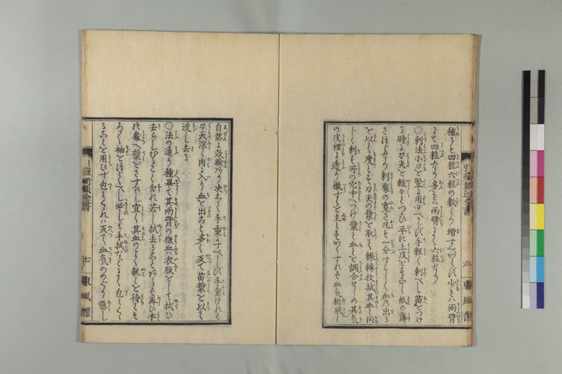 引痘新法全書 1巻附1巻 - ページ 17