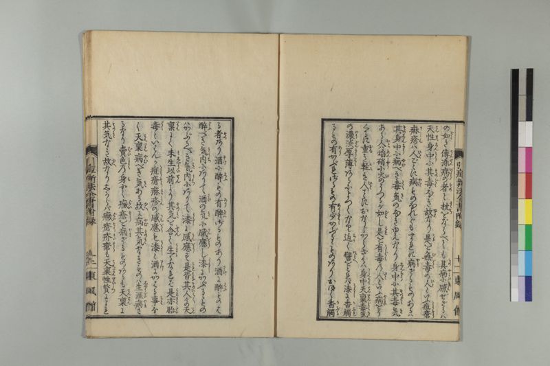 引痘新法全書 1巻附1巻 - ページ 53