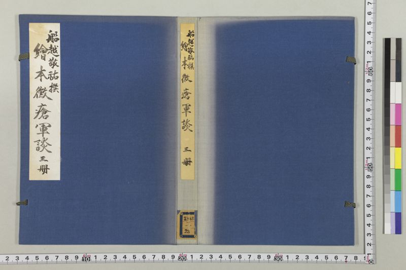 絵本黴瘡軍談 3巻 - ページ 2