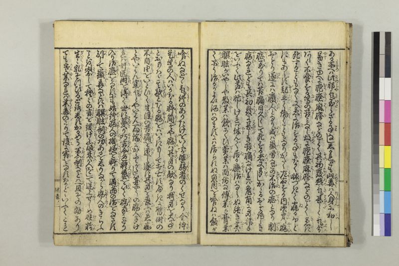 絵本黴瘡軍談 3巻 - ページ 13