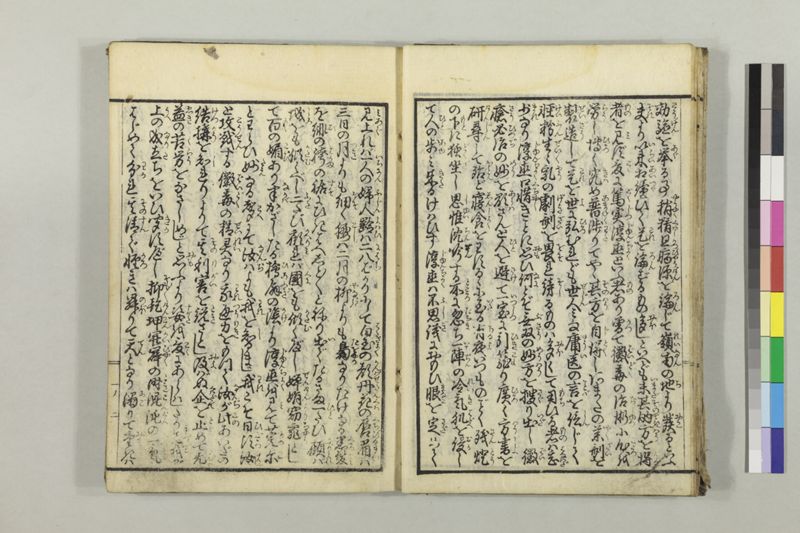 絵本黴瘡軍談 3巻 - ページ 17