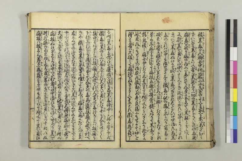 絵本黴瘡軍談 3巻 - ページ 41
