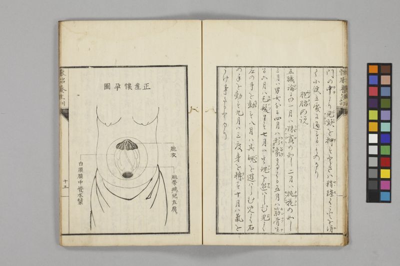 懐胎養生訓 - ページ 19