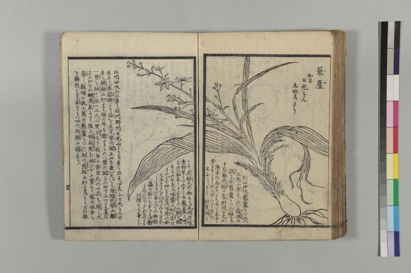 救急摘方 2巻 - ページ 101
