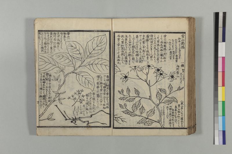 救急摘方 2巻 - ページ 102