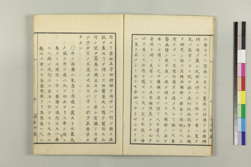 牛痘小考 - ページ 10