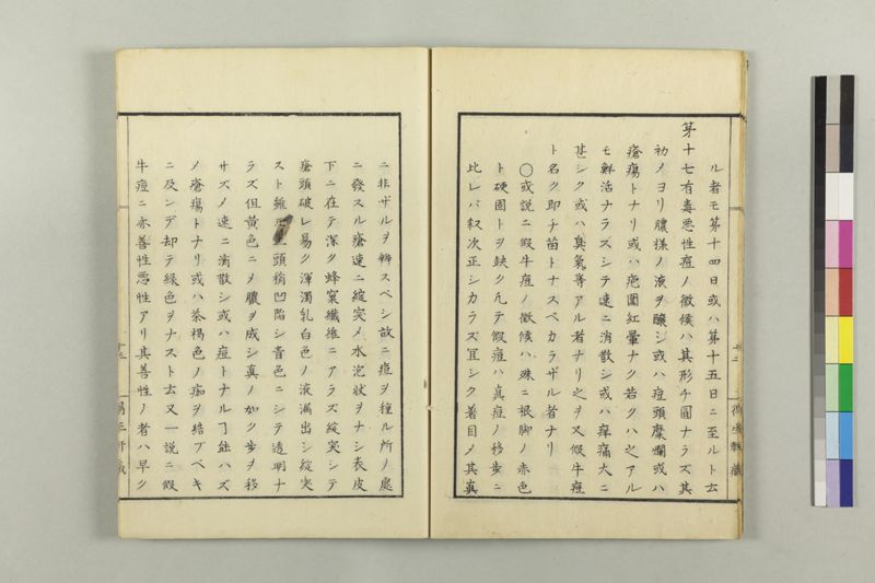 牛痘小考 - ページ 18