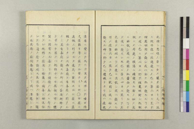 牛痘小考 - ページ 19
