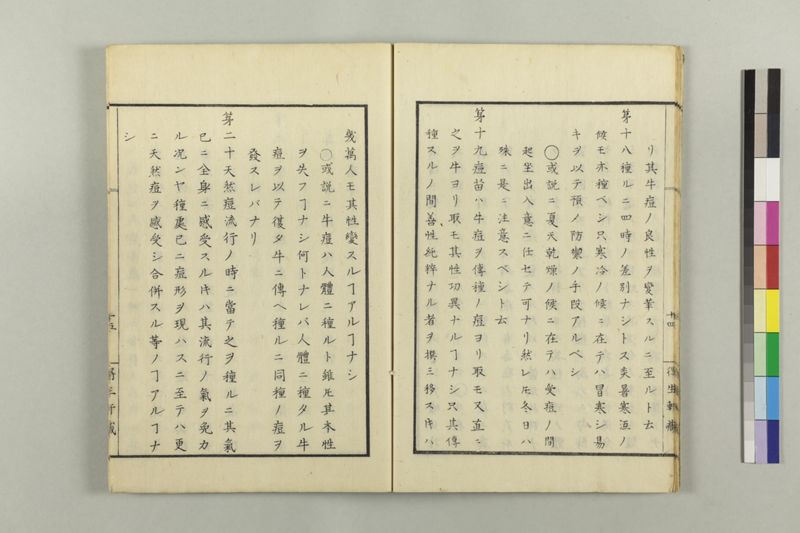 牛痘小考 - ページ 20