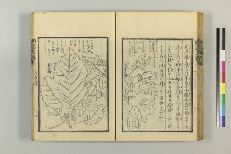 広恵済急方 3巻 - ページ 78