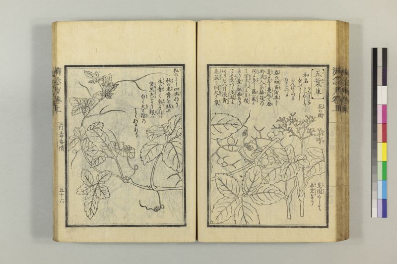 広恵済急方 3巻 - ページ 80