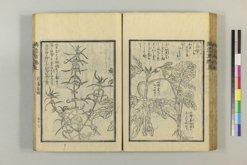 広恵済急方 3巻 - ページ 81