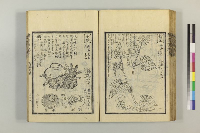 広恵済急方 3巻 - ページ 82