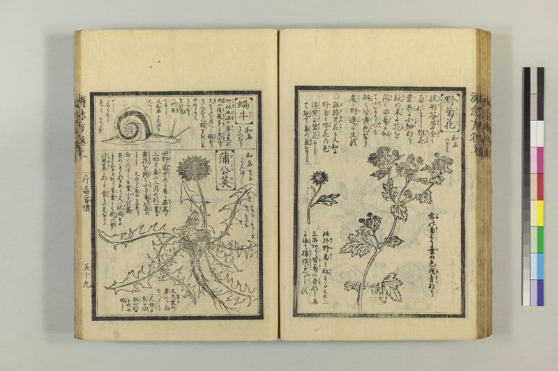 広恵済急方 3巻 - ページ 83