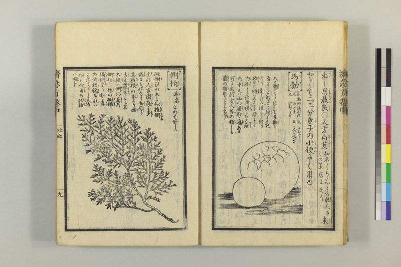 広恵済急方 3巻 - ページ 119