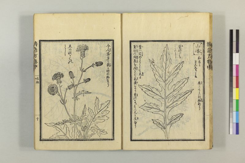 広恵済急方 3巻 - ページ 120