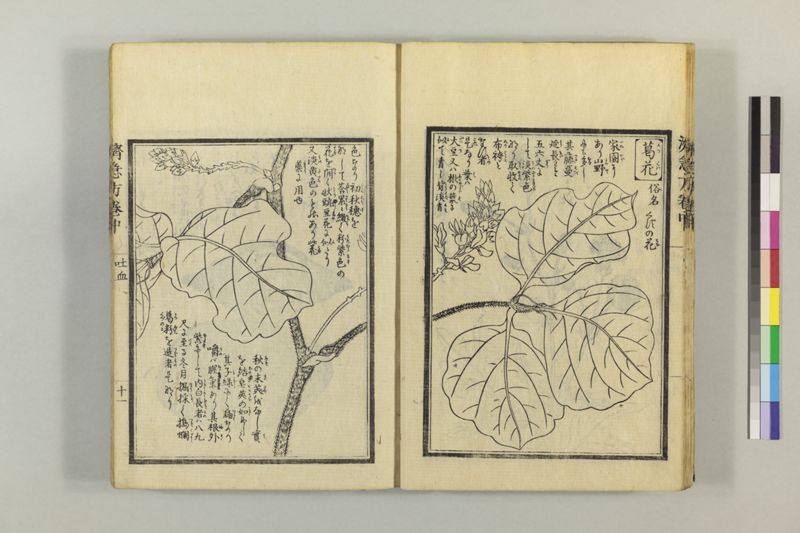 広恵済急方 3巻 - ページ 121