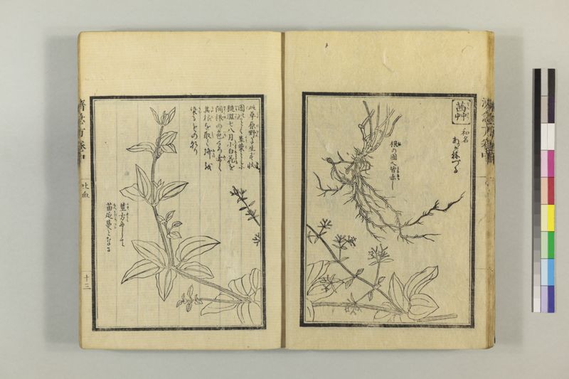 広恵済急方 3巻 - ページ 123