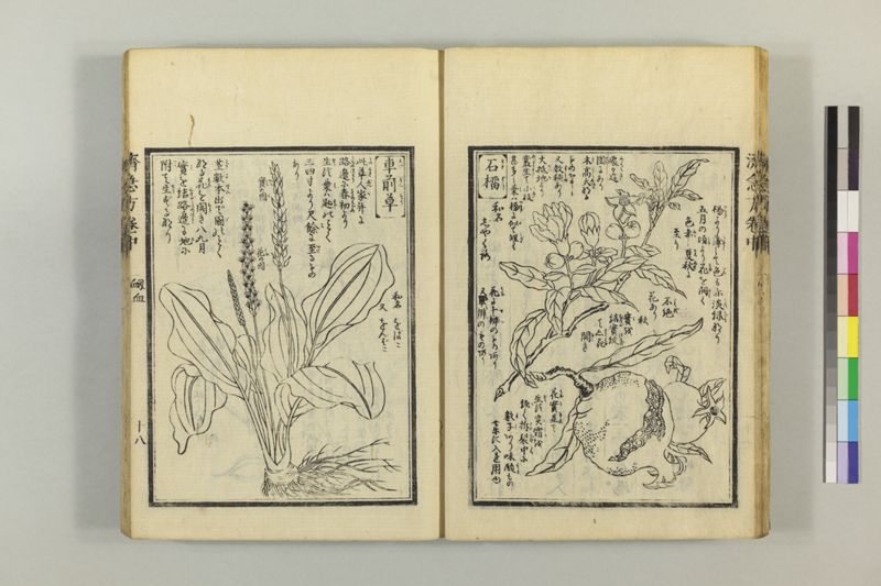 広恵済急方 3巻 - ページ 128