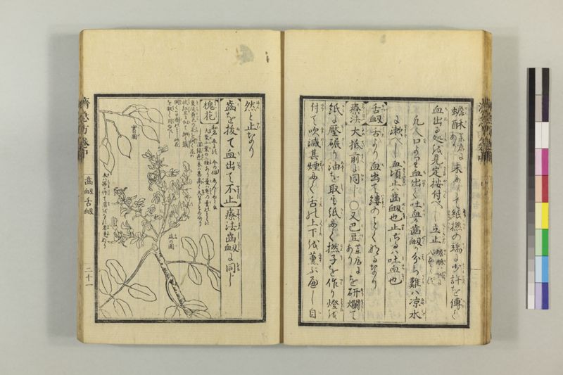 広恵済急方 3巻 - ページ 131