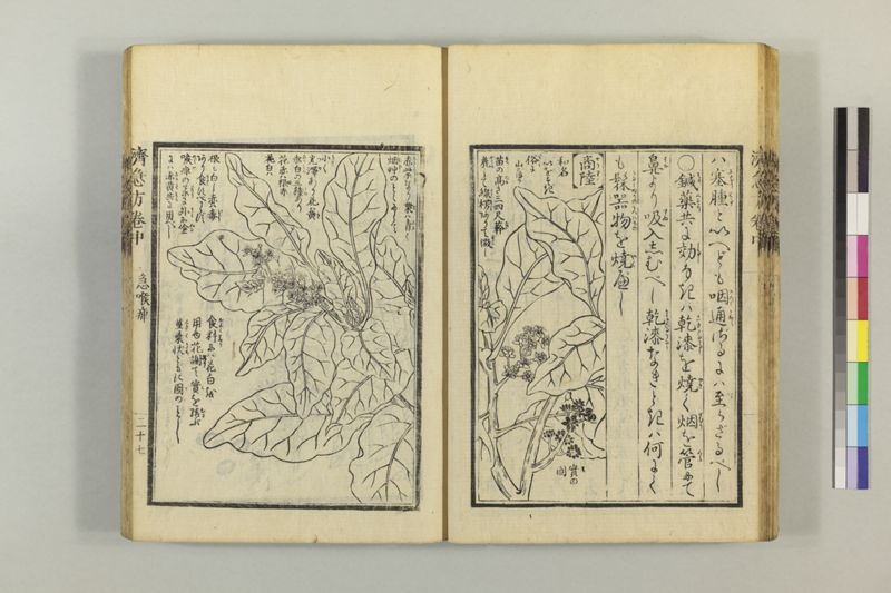 広恵済急方 3巻 - ページ 137