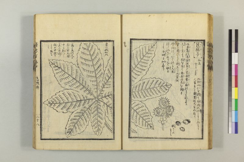 広恵済急方 3巻 - ページ 138