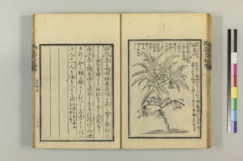 広恵済急方 3巻 - ページ 139