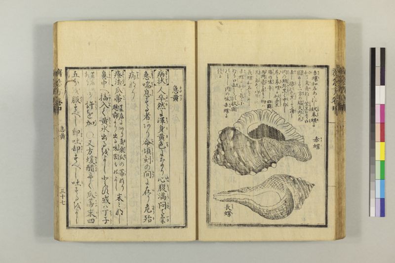 広恵済急方 3巻 - ページ 147
