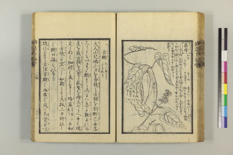 広恵済急方 3巻 - ページ 169