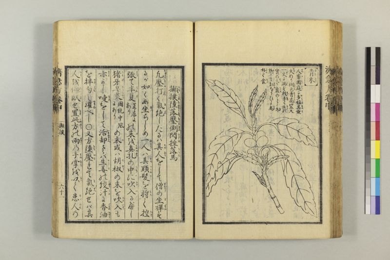 広恵済急方 3巻 - ページ 171