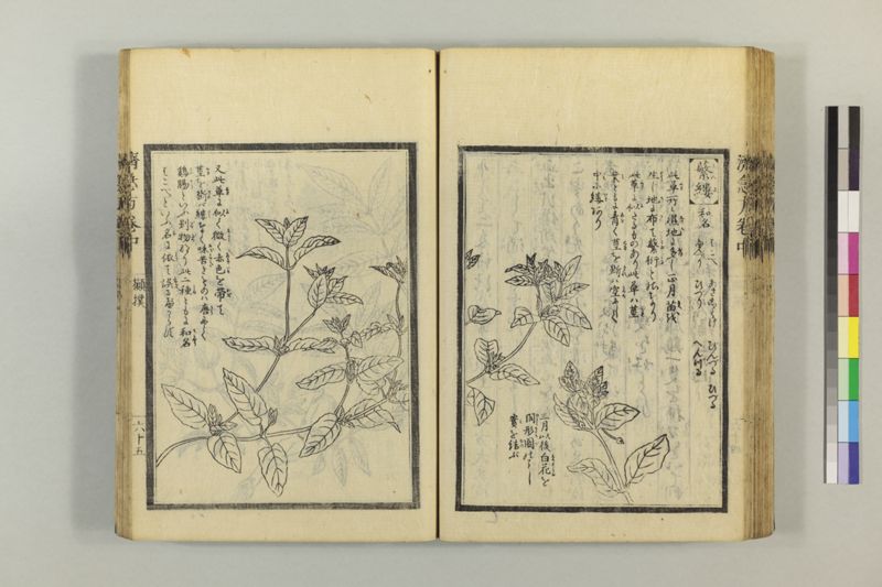 広恵済急方 3巻 - ページ 175