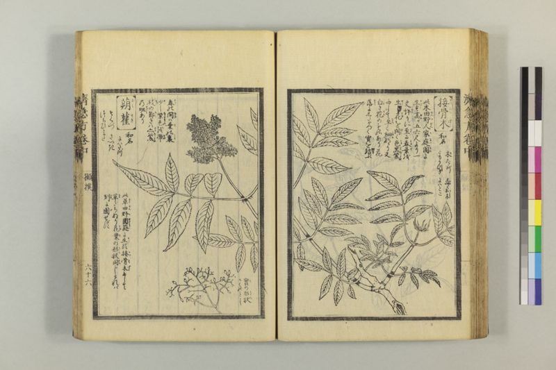 広恵済急方 3巻 - ページ 176