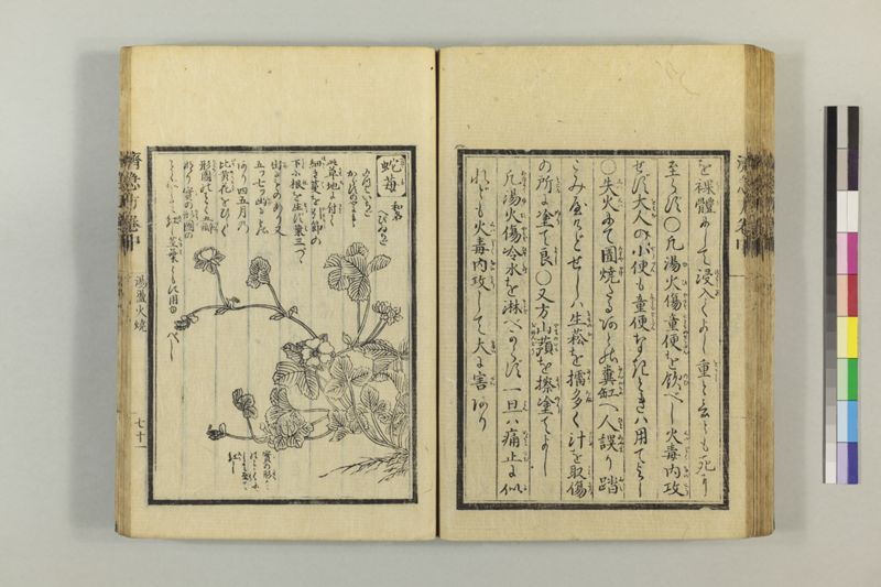 広恵済急方 3巻 - ページ 181