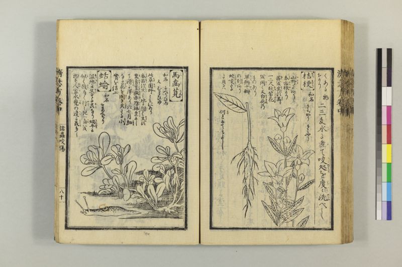 広恵済急方 3巻 - ページ 191