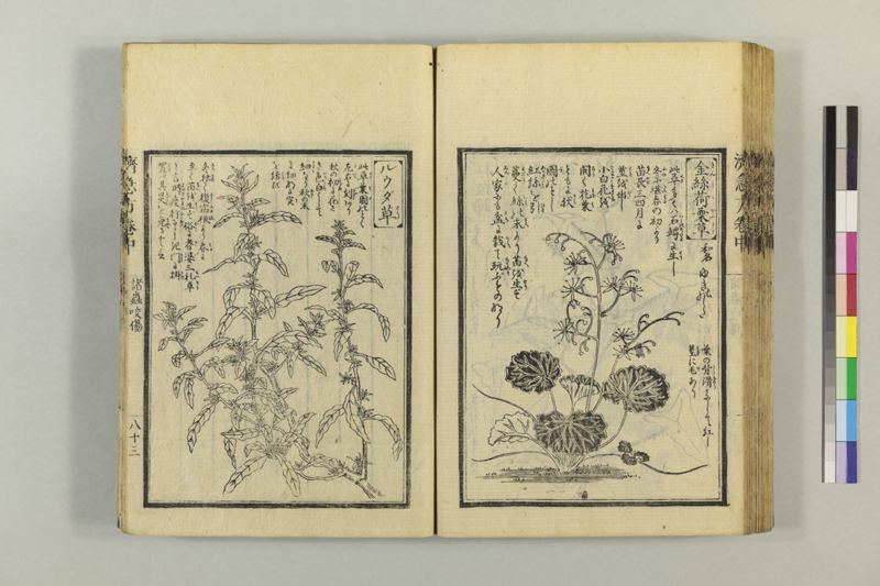 広恵済急方 3巻 - ページ 193