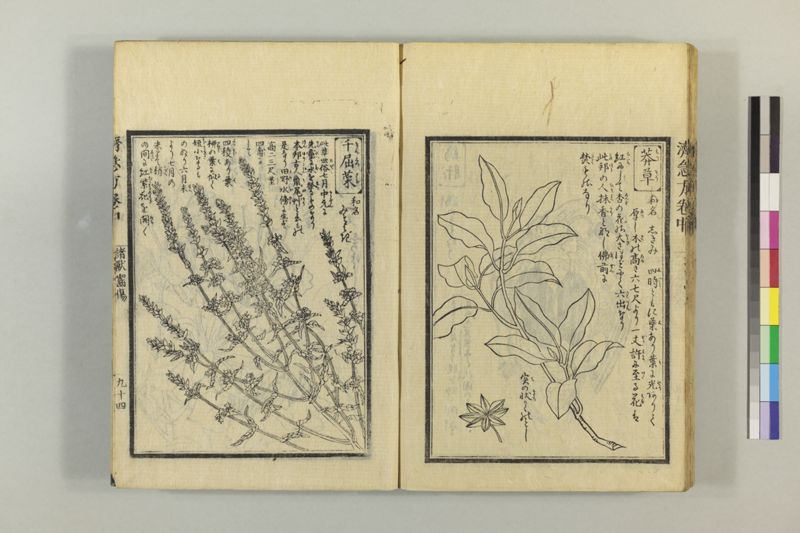 広恵済急方 3巻 - ページ 204