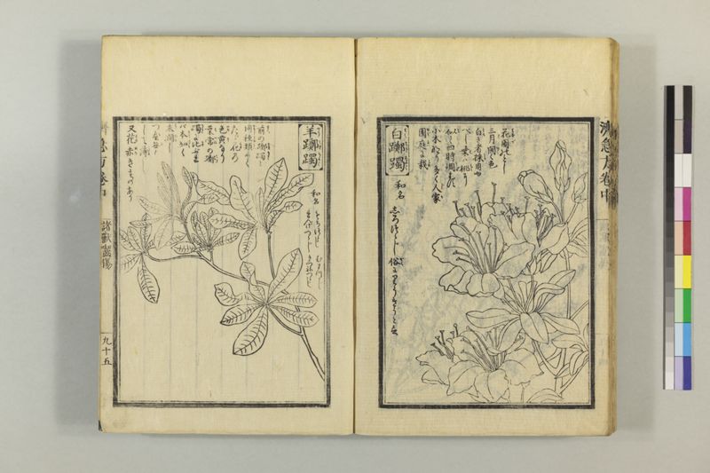 広恵済急方 3巻 - ページ 205