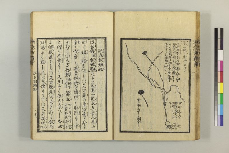 広恵済急方 3巻 - ページ 234