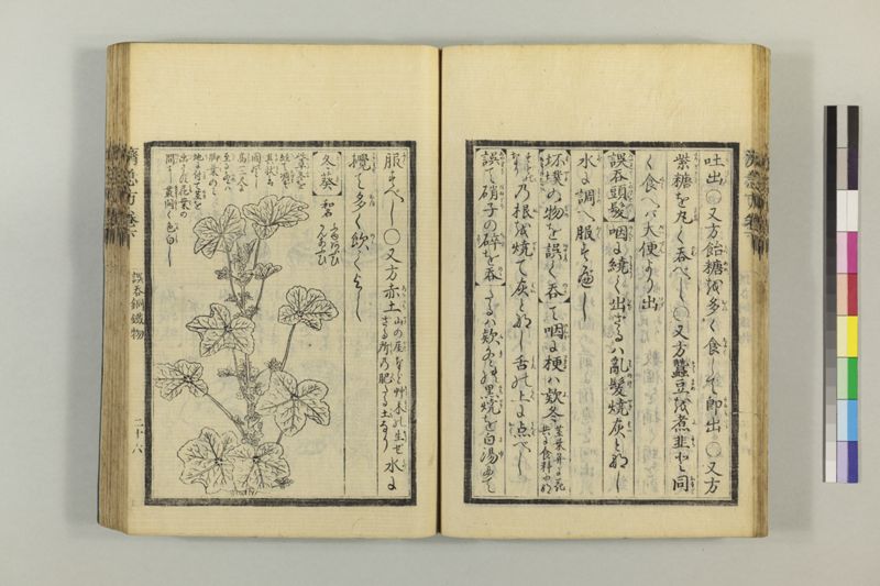 広恵済急方 3巻 - ページ 237
