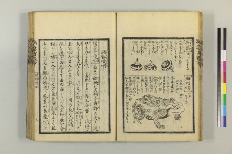 広恵済急方 3巻 - ページ 238