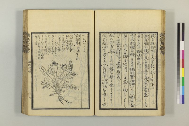 広恵済急方 3巻 - ページ 240