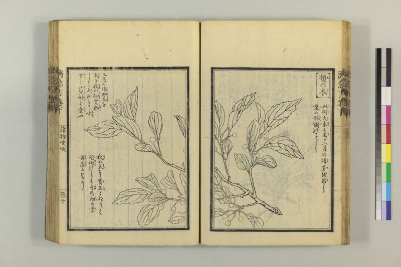 広恵済急方 3巻 - ページ 241
