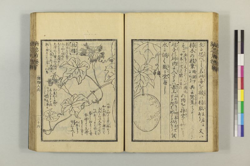広恵済急方 3巻 - ページ 247