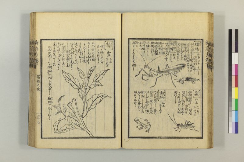 広恵済急方 3巻 - ページ 248