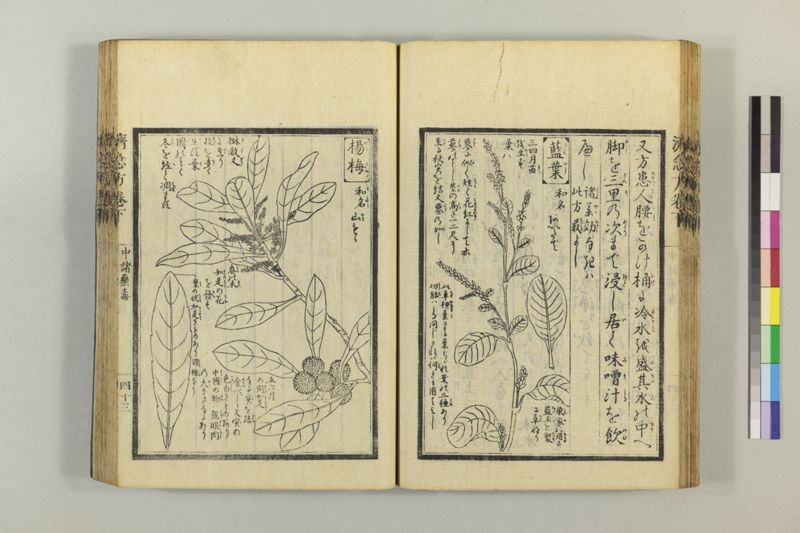 広恵済急方 3巻 - ページ 254