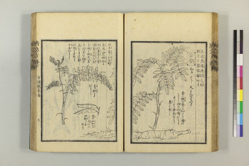 広恵済急方 3巻 - ページ 262