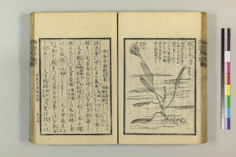 広恵済急方 3巻 - ページ 266