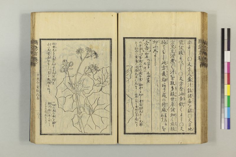 広恵済急方 3巻 - ページ 272