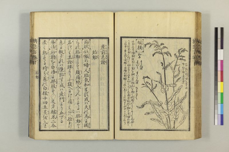 広恵済急方 3巻 - ページ 273