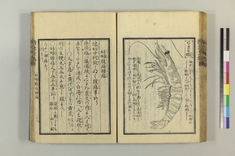 広恵済急方 3巻 - ページ 279